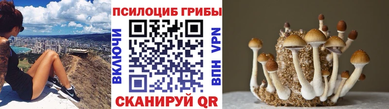 Галлюциногенные грибы ЛСД  Талица 